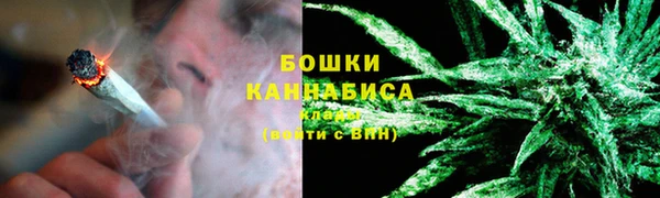 шишки Гусь-Хрустальный