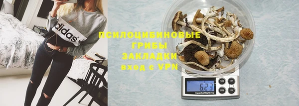 дмт Нефтегорск