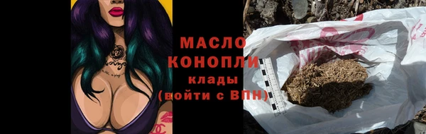 молекула духа Надым