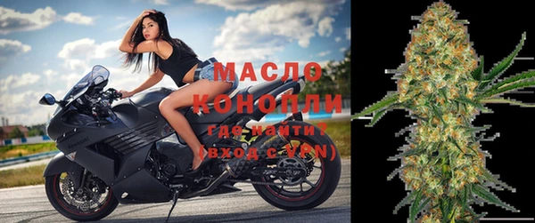 молекула духа Надым