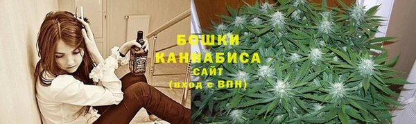 индика Навашино