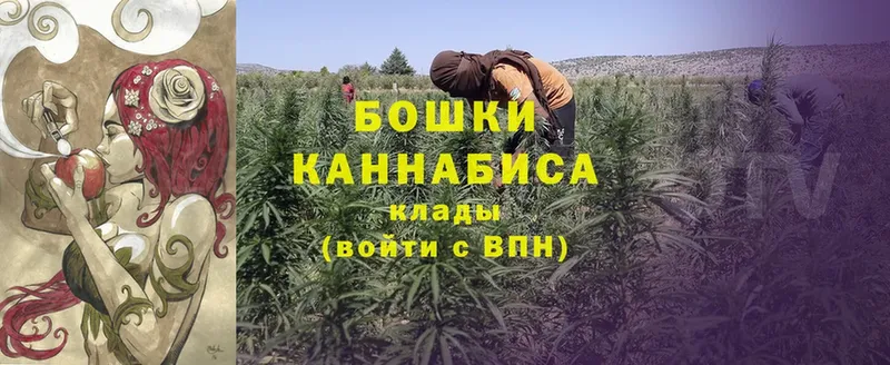 хочу   Колпашево  Каннабис THC 21% 